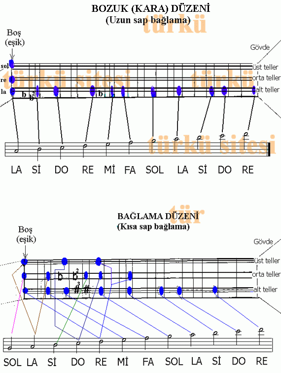 nota33