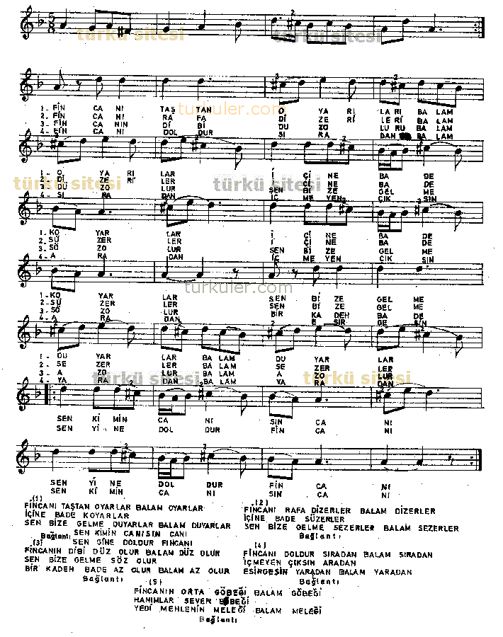 Fincan Tatan Oyarlar-1