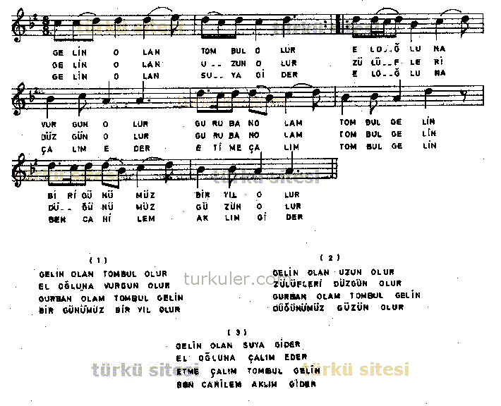 Gelin Olan Tombul Olur