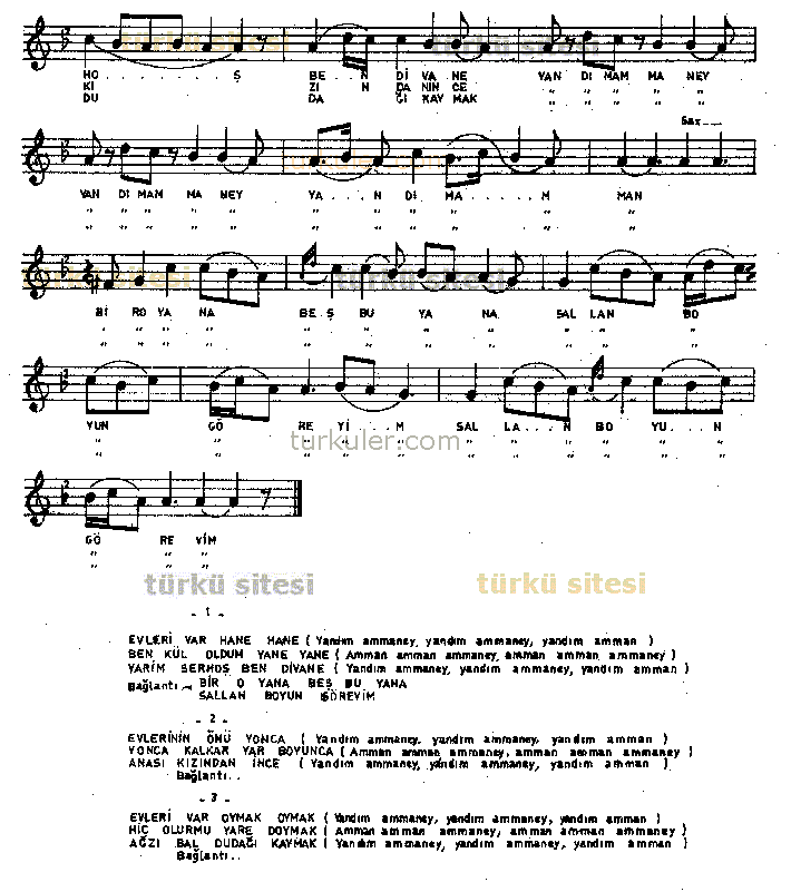 Evleri Var Hane Hane