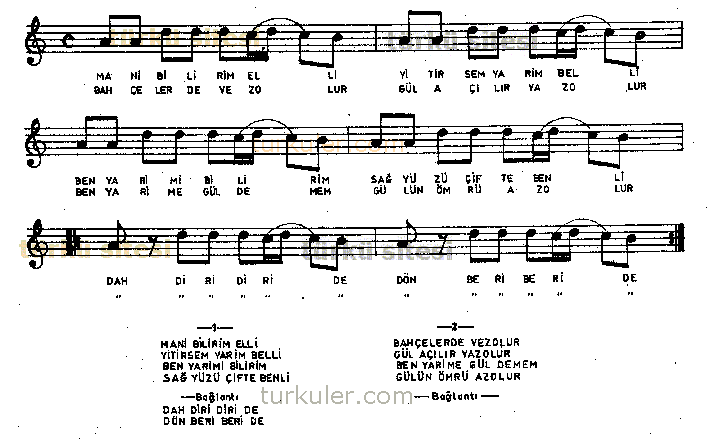 Mani Bilirim Elli (Dahdiri Havas)