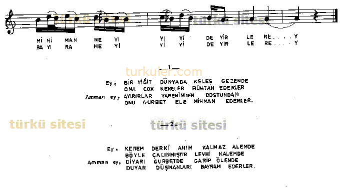 Bir Yiit Dnyada Kele Gezende