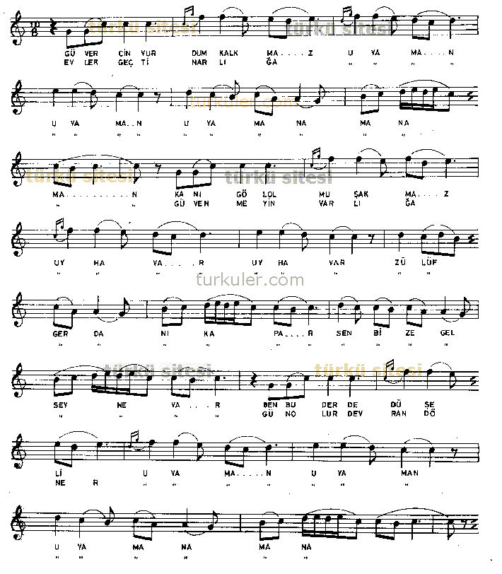 G�vercin Vurdum Kalkmaz-1