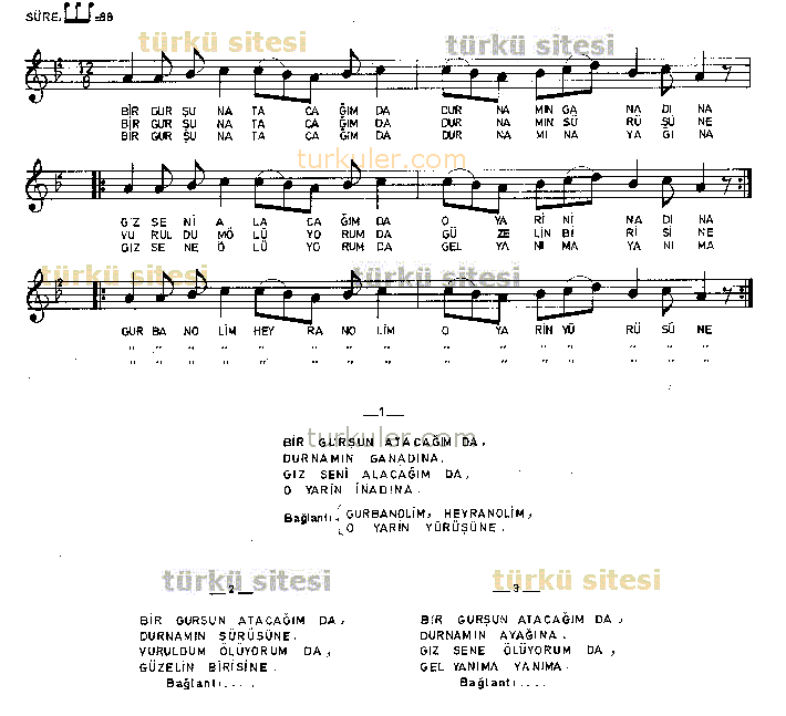 Bir Gur�un Ataca��m