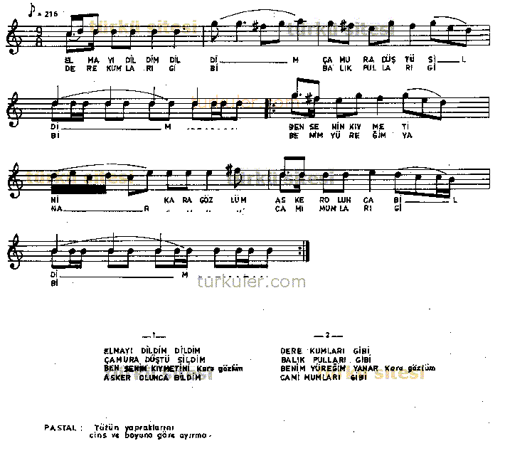 Elmay� Dildim Dildim