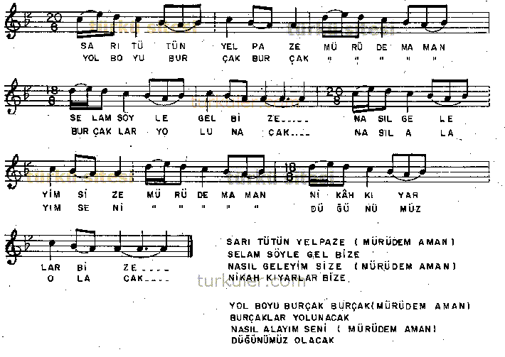 Sar� T�t�n Yelpaze