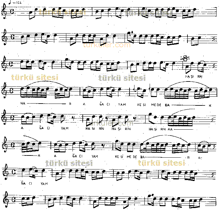 �irin Nar A�ac�yam