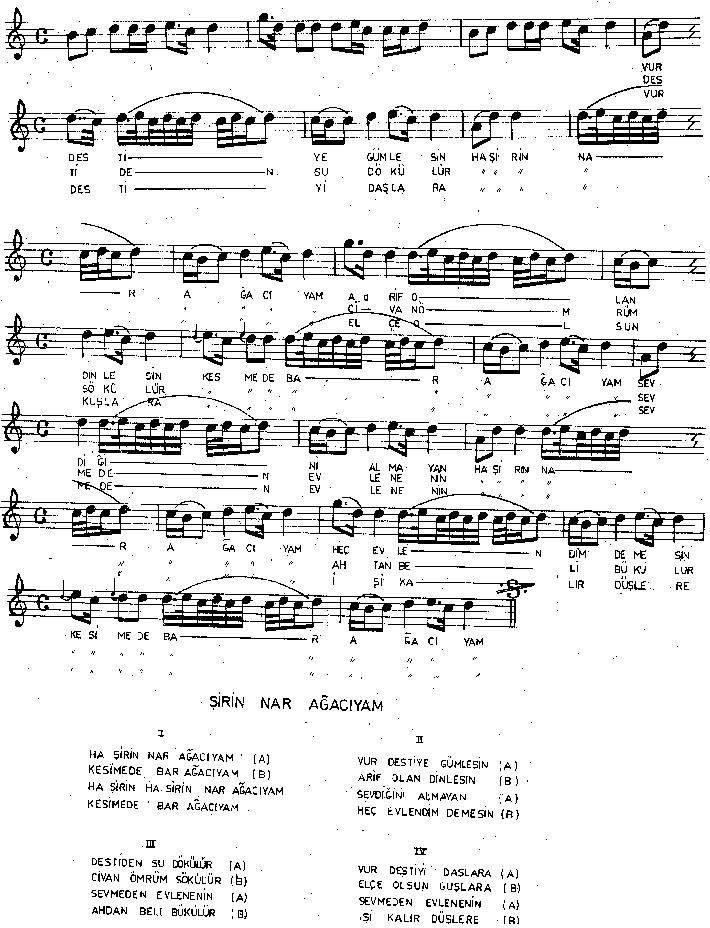 �irin Nar A�ac�yam