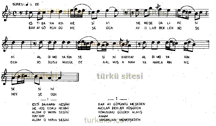 Esti Baharn Nesimi