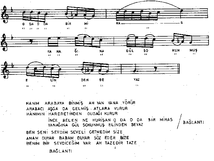 Hanm Arabaya Binmi