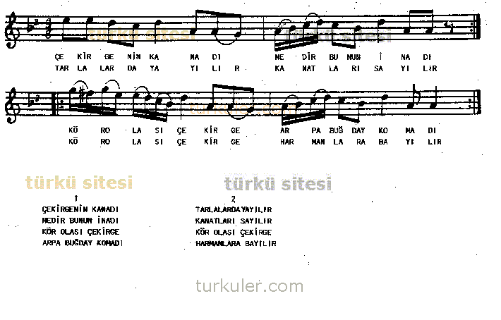 ekirgenin Kanad