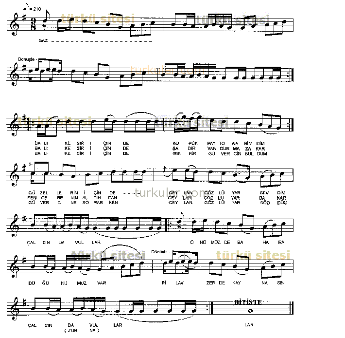 Balkesir inde Krk Paytona Bindim