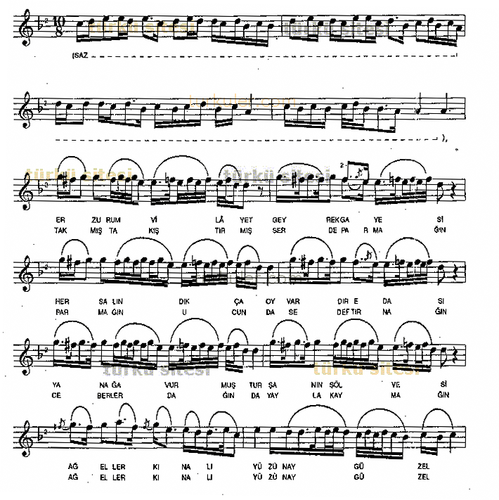 Erzurum Vilayet Geyrek Gariyesi