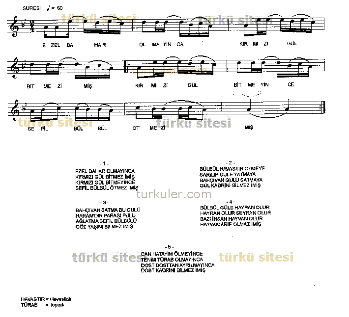 Ezel Bahar Olmaynca-2