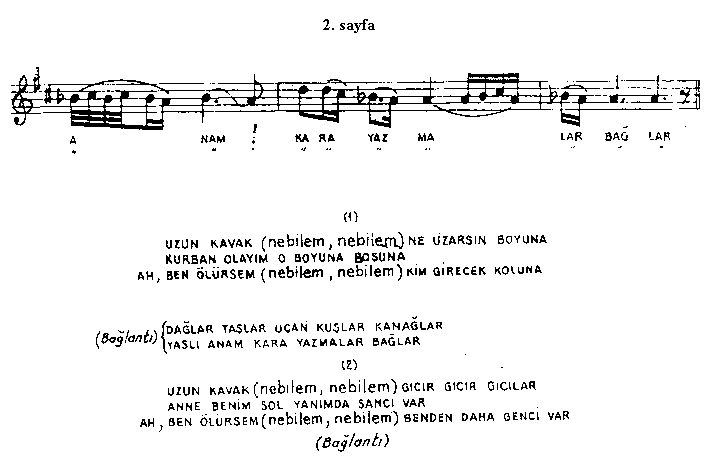 Uzun Kavak Ne Uzarsn Boyuna